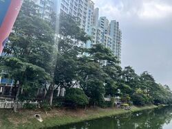 Blk 38C The River Vista @ Kallang (Kallang/Whampoa), HDB 3 Rooms #592415671